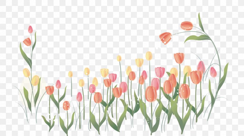 Indira Gandhi Memorial Tulip Garden Flower Clip Art, PNG, 1289x721px, Indira Gandhi Memorial Tulip Garden, Cut Flowers, Floral Design, Floristry, Flower Download Free