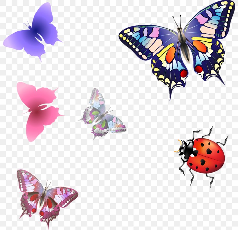 Butterfly Nymphalidae Clip Art, PNG, 800x792px, Butterfly, Arthropod, Brush Footed Butterfly, Butterflies And Moths, Color Download Free