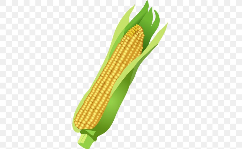 Corn On The Cob Maize Basalt Fiber, PNG, 600x505px, Corn On The Cob, Basalt Fiber, Commodity, Corn Kernel, Crop Download Free