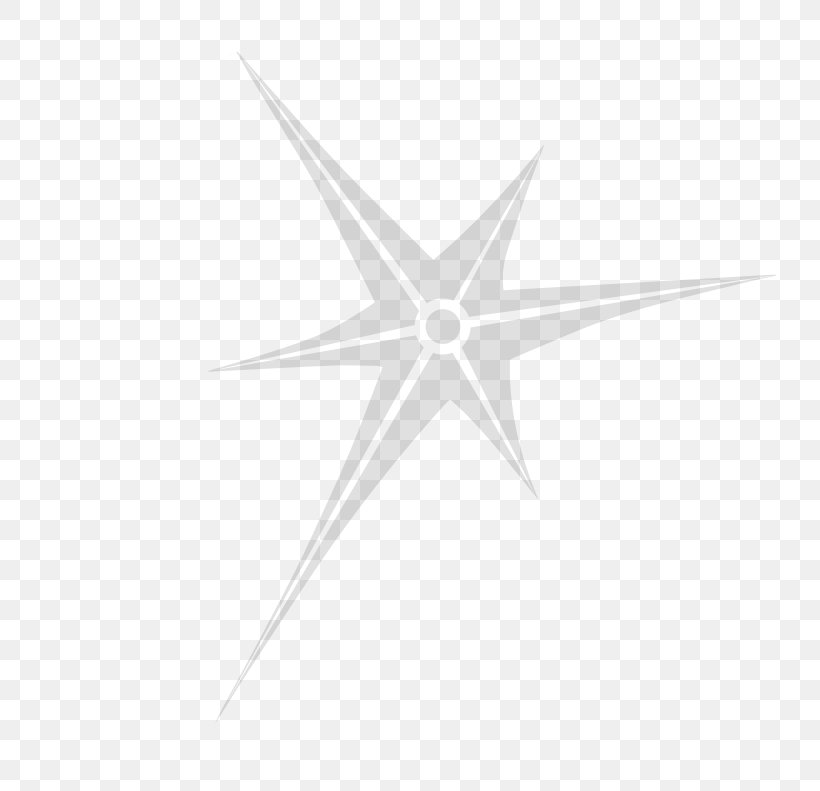 White Point Angle Invertebrate Symmetry, PNG, 800x791px, White, Animal, Black And White, Invertebrate, Line Art Download Free