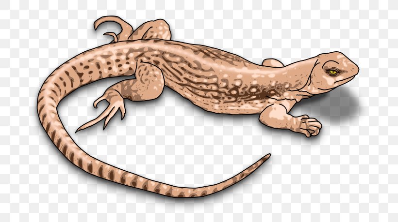 Lizard Reptile Common Iguanas Chameleons Clip Art, PNG, 800x459px, Lizard, Amphibian, Animal Figure, Chameleons, Common Iguanas Download Free