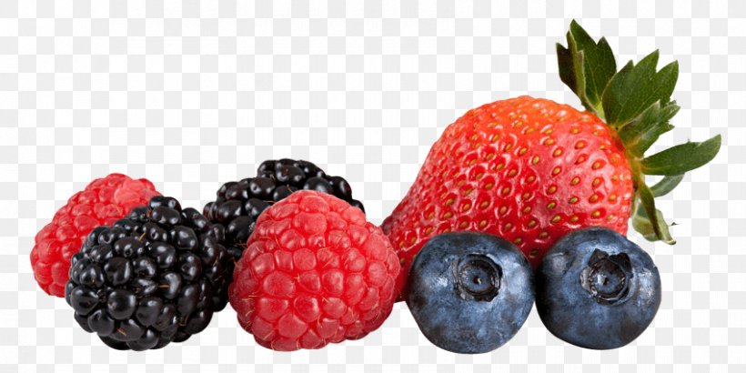 Berries Clip Art Tart Juice, PNG, 850x425px, Berries, Accessory Fruit, Alpine Strawberry, Berry, Blackberry Download Free