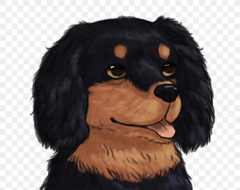 Boykin Spaniel Dog Breed Puppy Companion Dog, PNG, 1004x795px, Boykin Spaniel, Art, Artist, Breed, Carnivoran Download Free