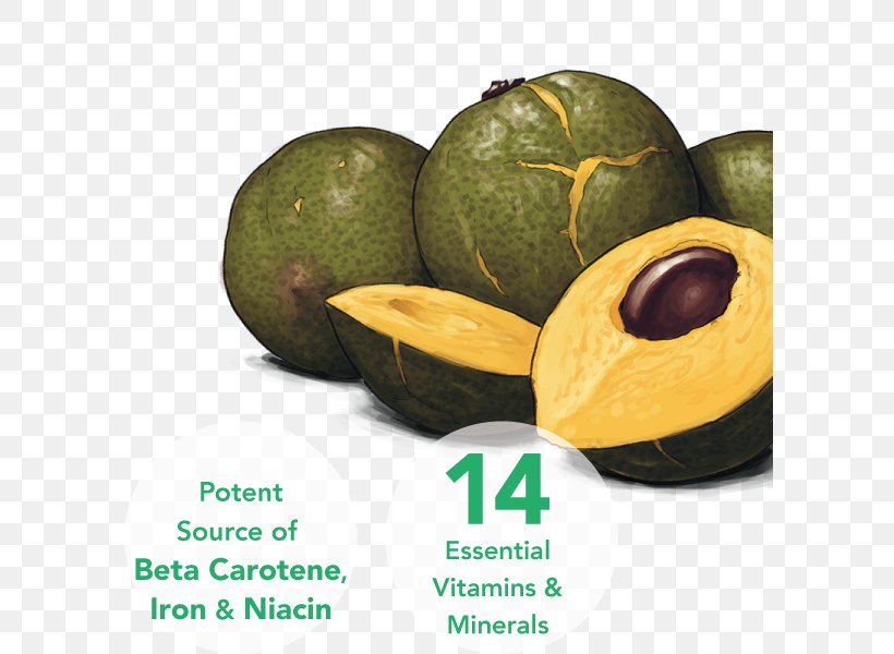 Lucuma Vanilla Fruit Sprouting Superfood, PNG, 600x600px, Lucuma, Cucumber Gourd And Melon Family, Cucurbita, Food, Fruit Download Free
