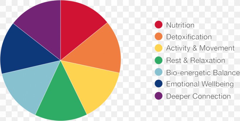 Pie Chart Showing Balanced Diet