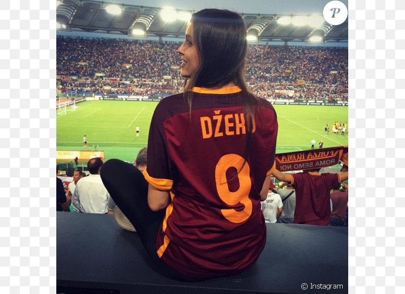 Bosnia And Herzegovina National Football Team Serie A A.S. Roma Football Player, PNG, 675x596px, Bosnia And Herzegovina, Antonio Conte, As Roma, Brand, Championship Download Free