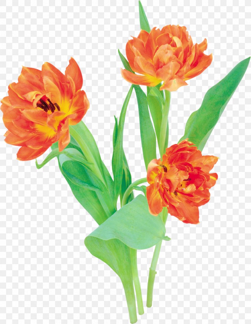 Cut Flowers Tulip Flower Bouquet Clip Art, PNG, 994x1280px, Flower, Artificial Flower, Cut Flowers, Floral Design, Floristry Download Free