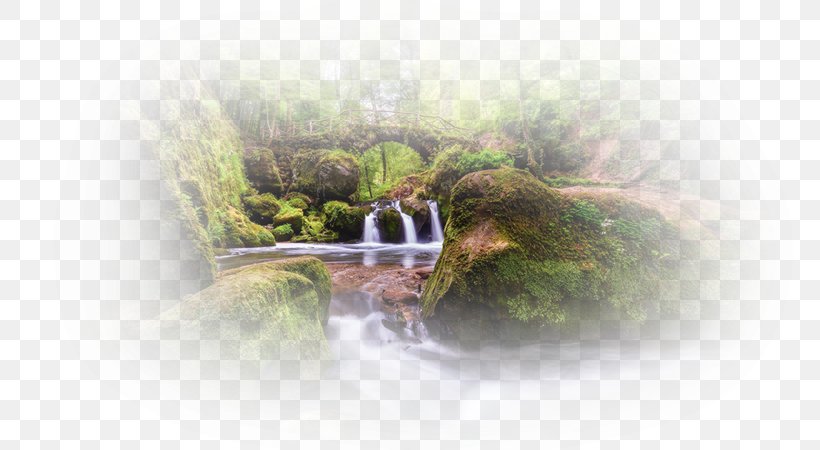 Desktop Wallpaper Stock Photography Water Computer, PNG, 800x450px, Stock Photography, Computer, Grass, Organism, Photography Download Free