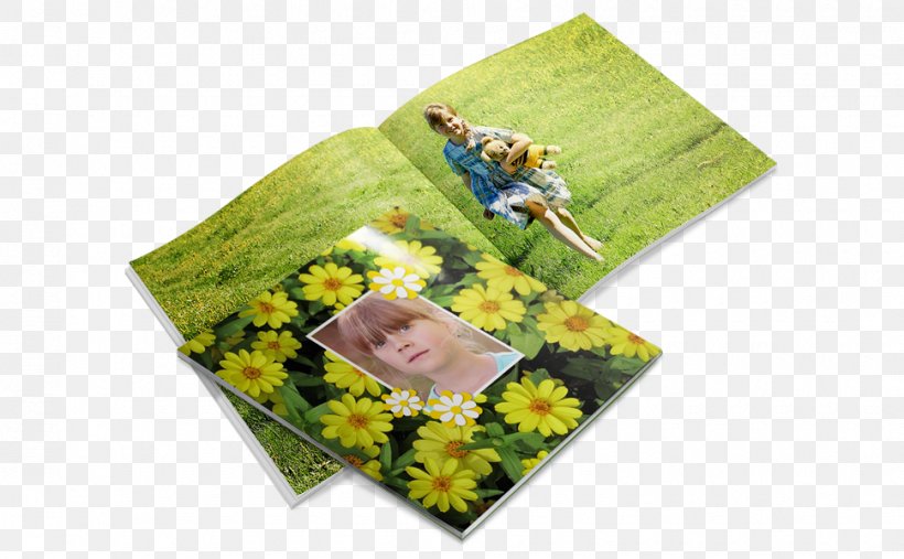 Paper Photo-book Printing Photography, PNG, 970x600px, Paper, Book, Bookbinding, Flower, Grass Download Free