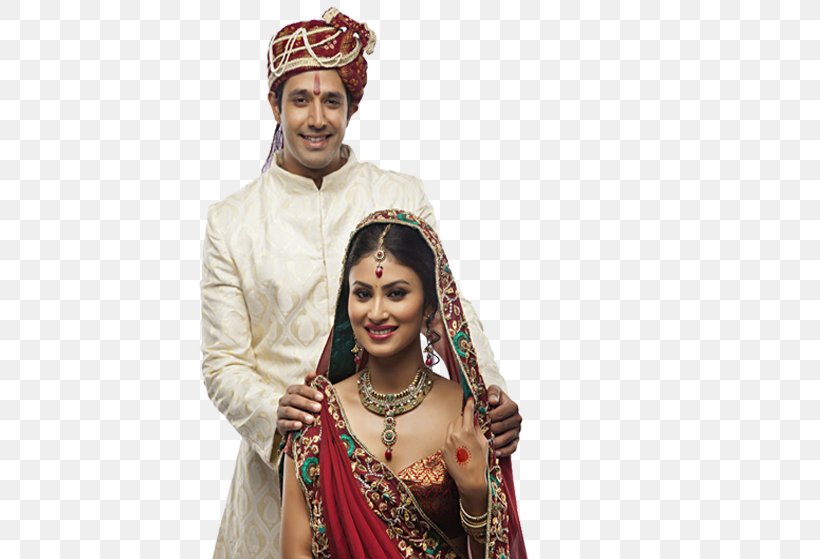 Weddings In India Marriage Matrimonial Website Significant Other, PNG, 458x559px, India, Bride, Bridegroom, Couple, Divorce Download Free