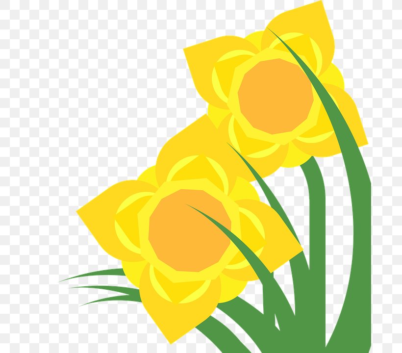 Daffodil Clip Art Illustration Image Drawing, PNG, 694x720px, Daffodil, Art, Artwork, Color, Drawing Download Free
