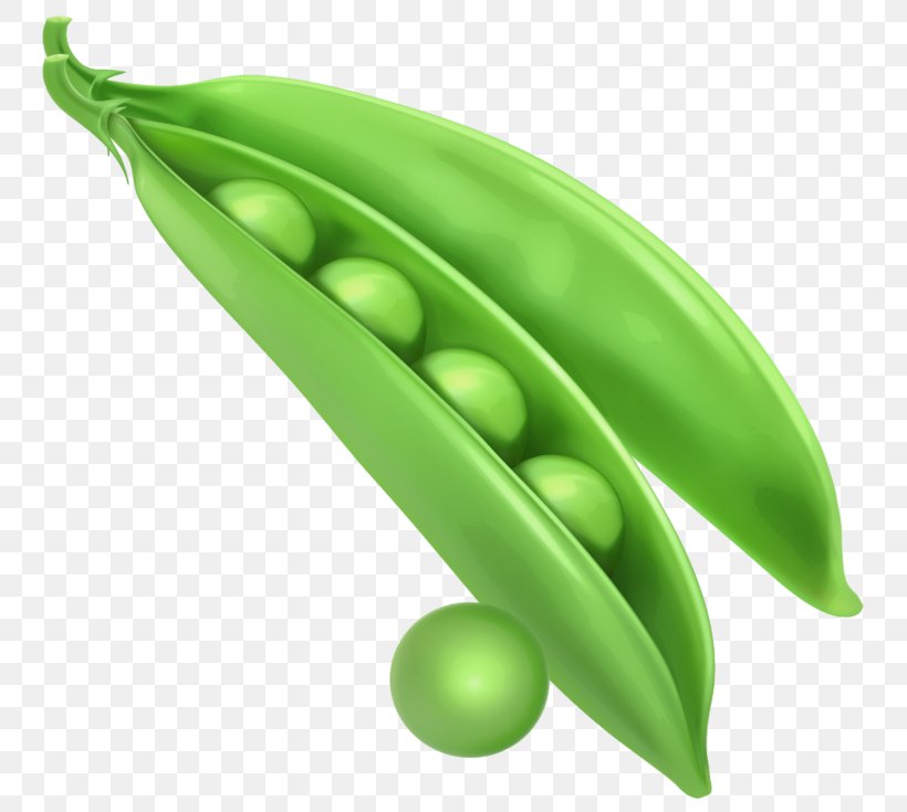 Snap Pea Clip Art, PNG, 768x735px, Pea, Document, Food, Fruit, Ingredient Download Free