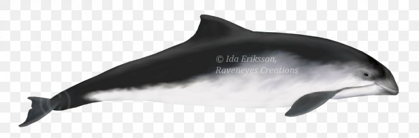 Striped Dolphin Common Bottlenose Dolphin Short-beaked Common Dolphin Rough-toothed Dolphin Tucuxi, PNG, 1000x330px, Striped Dolphin, Animal Figure, Beak, Black And White, Bottlenose Dolphin Download Free