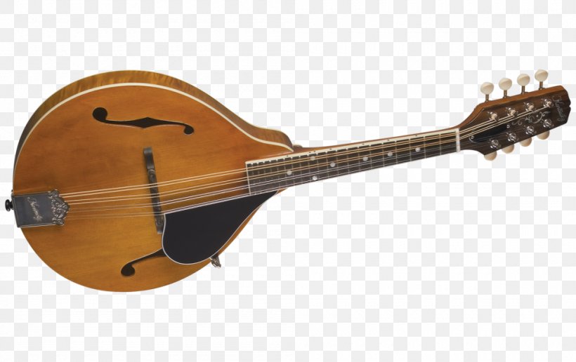 Ukulele Mandolin Musical Instruments String Instruments Guitar, PNG, 1000x630px, Watercolor, Cartoon, Flower, Frame, Heart Download Free