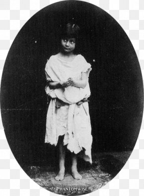 Lewis Carroll - Alice's Adventures In Wonderland ÐÐ»Ð¸ÑÐ° Ð›Ð¸Ð´Ð´ÐµÐ»Ð» Aliciae Per Speculum Transitus The King And The Beggar-maid PNG