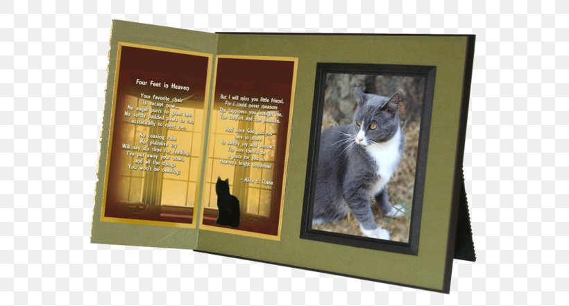 Cat Pet Heaven Funeral Home Inc A Sweet Remembrance Animal Loss, PNG, 600x441px, Cat, Advertising, Animal Loss, Cat Like Mammal, Funeral Home Download Free
