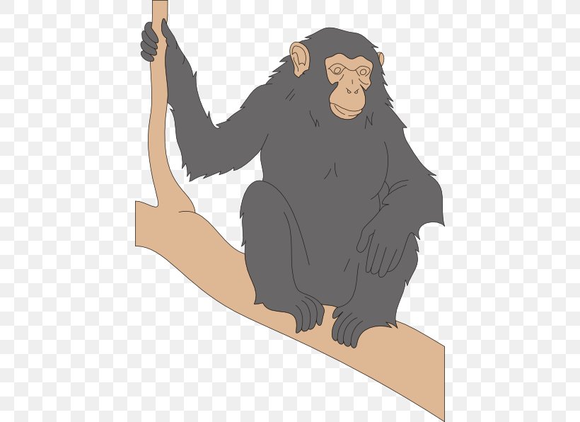 Chimpanzee Primate Stone Pine Taxonomic Rank Taxonomy, PNG, 438x596px, Chimpanzee, Arm, Biology, Carnivoran, Cartoon Download Free