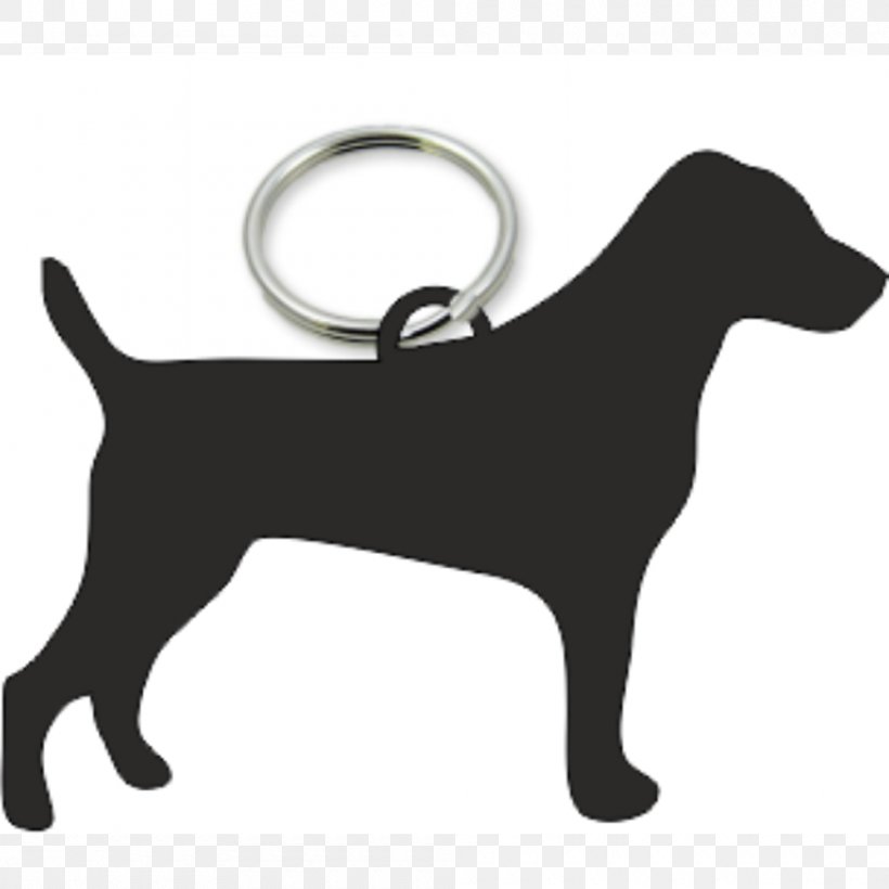 Dog Breed Puppy Leash Snout, PNG, 1000x1000px, Dog Breed, Breed, Carnivoran, Dog, Dog Like Mammal Download Free