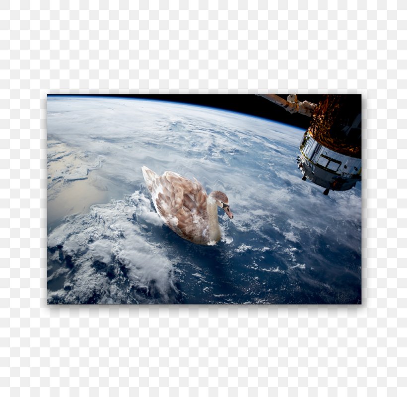 International Space Station Space Shuttle Program Earth NASA Space Debris, PNG, 800x800px, International Space Station, Earth, Ice, Nasa, Nasa Earth Observatory Download Free