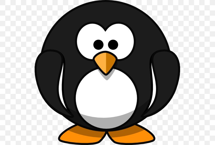 Penguin Cartoon Clip Art, PNG, 555x556px, Penguin, Animation, Artwork, Beak, Bird Download Free