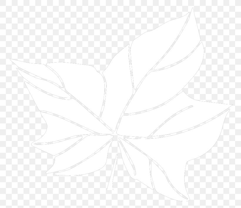Petal Drawing White /m/02csf Leaf, PNG, 792x708px, Petal, Black And White, Drawing, Flower, Leaf Download Free