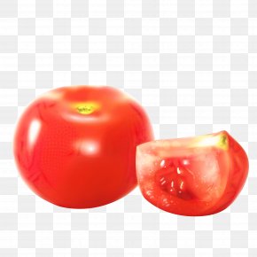 Plant Fruit - Tomato Cartoon PNG