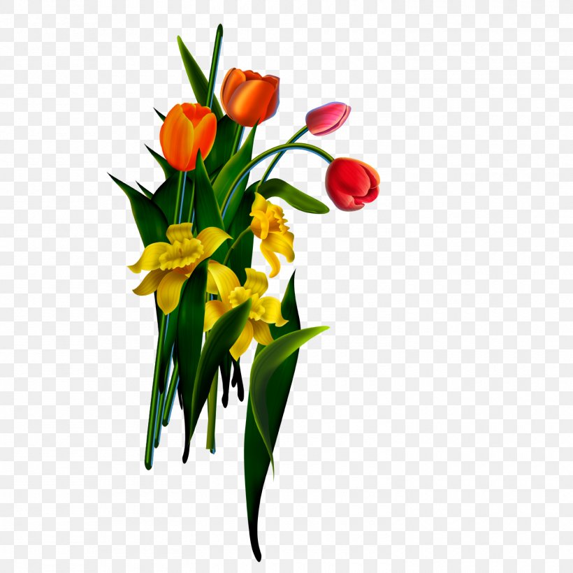 Tulip Flower The Event Of Ghadir Khumm Gift, PNG, 1500x1500px, Tulip, Aisha, Axefd Alghadir, Cut Flowers, Eid Aladha Download Free