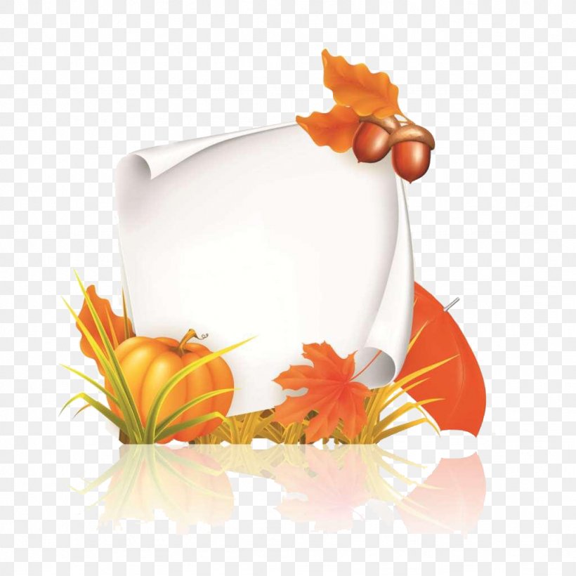 Autumn Clip Art, PNG, 1024x1024px, Autumn, Computer Font, Drawing, Flower, Food Download Free