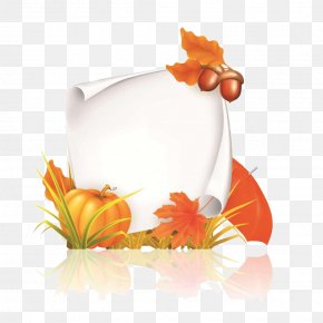 Autumn Display Box - Autumn Clip Art PNG