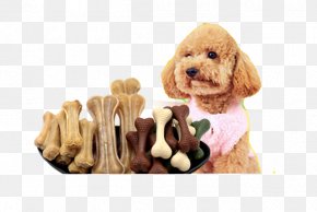 Goldendoodle Images Goldendoodle Transparent Png Free Download
