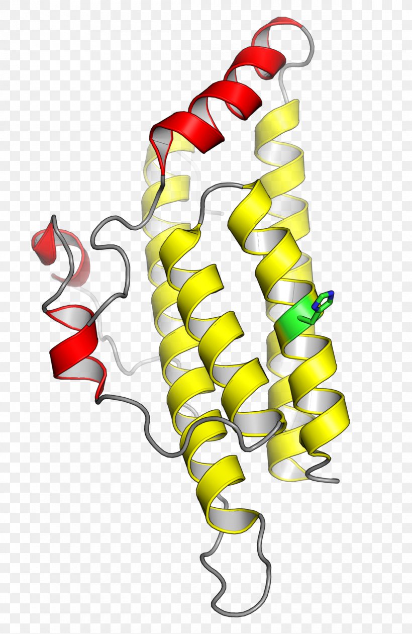 Histidine Phosphotransfer Domain Histidine Kinase Protein Domain Amino Acid, PNG, 1200x1846px, Histidine Kinase, Acid, Amino Acid, Artwork, Body Jewelry Download Free