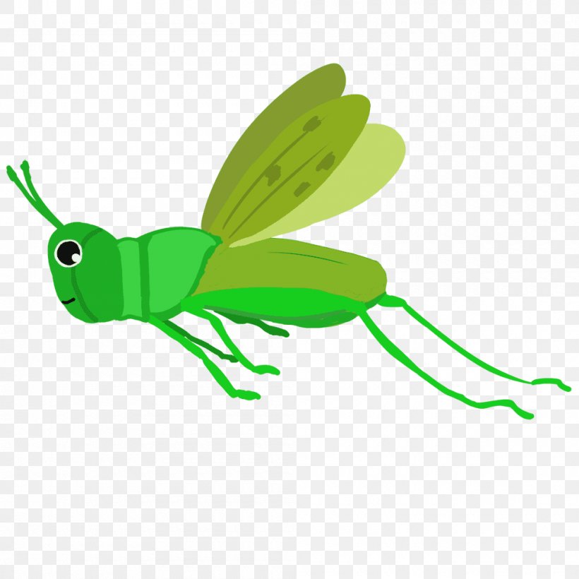 Insect Caelifera Chinese Grasshopper Clip Art, PNG, 1000x1000px, Insect, Arthropod, Butterflies And Moths, Caelifera, Chinese Grasshopper Download Free