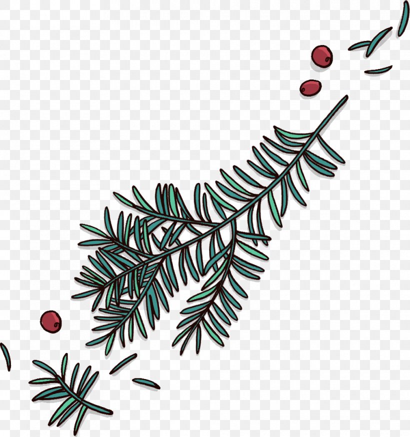 English Yew Production Paclitaxel Business Plants, PNG, 1010x1077px, English Yew, Branch, Business, Christmas Decoration, Christmas Ornament Download Free