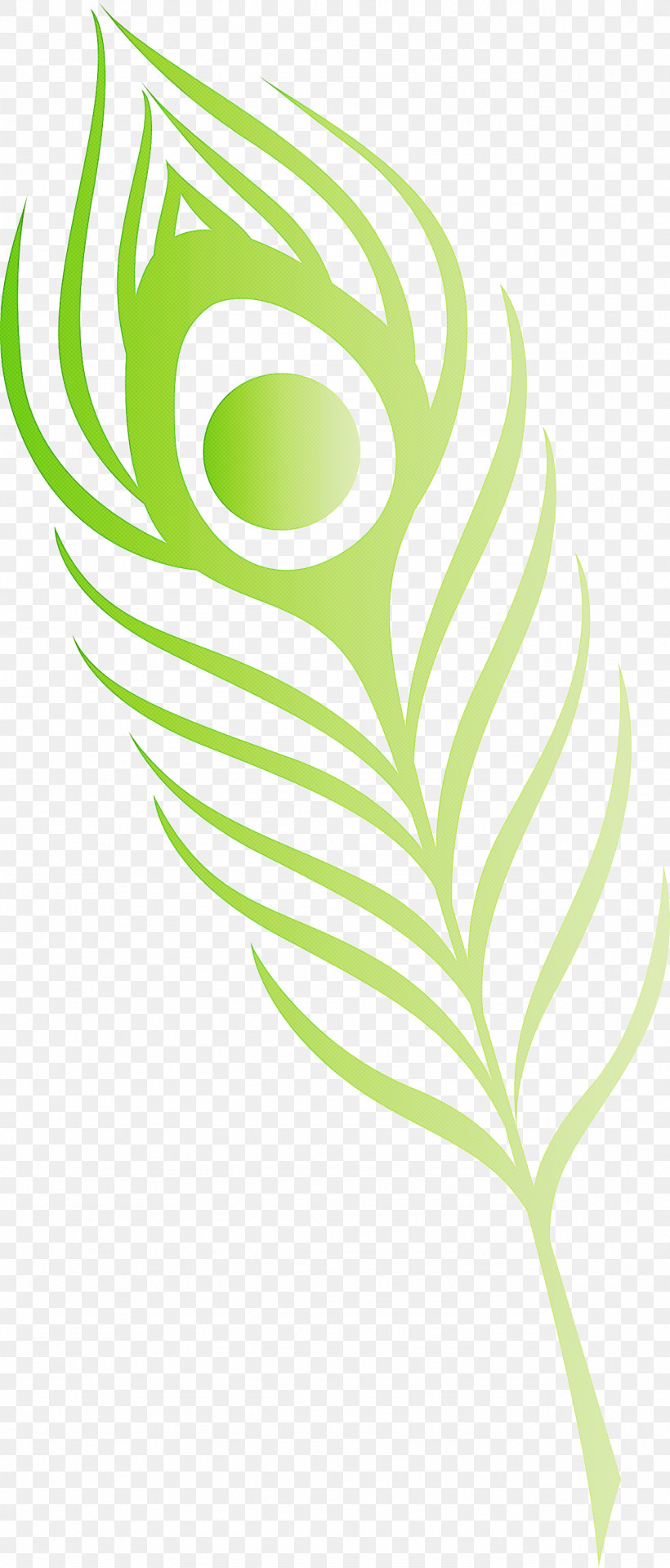 Feather, PNG, 1282x3000px, Feather, Abstract Art, Cartoon, Drawing, Line Art Download Free