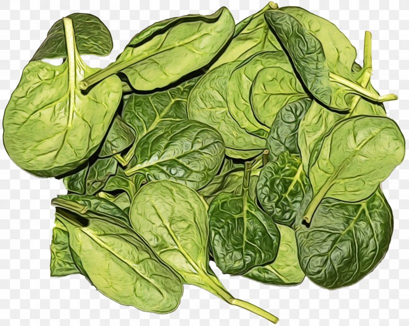 Leaf Vegetable Food Spinach Leaf Plant, PNG, 1392x1111px, Watercolor, Flower, Food, Leaf, Leaf Vegetable Download Free