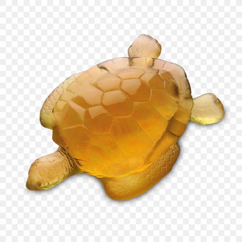 Pond Turtles Daum Sea Turtle Tortoise, PNG, 1000x1000px, Turtle, Blue, Daum, Decorative Arts, Emydidae Download Free