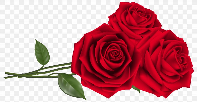 Rose Red Teleflora Flower Bouquet, PNG, 6007x3124px, Valentine S Day, Cut Flowers, Floral Design, Floristry, Flower Download Free