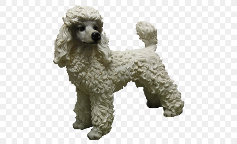 Standard Poodle Miniature Poodle Toy Poodle Puppy, PNG, 500x500px, Standard Poodle, Breed, Breed Group Dog, Carnivoran, Companion Dog Download Free