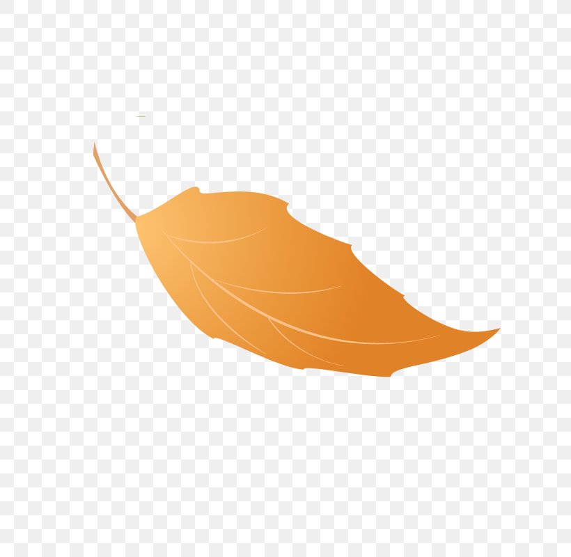 Leaf Autumn Leaves JPEG File Format, PNG, 800x800px, Leaf, Autumn Leaves, Coloring Book, Innenraum, Malyavoknet Download Free