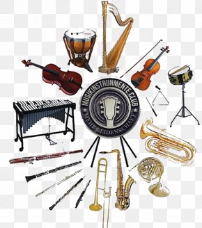 Musical Instruments - Musikinstrumente Und Wie Man Sie Spielt Tom-Toms Musical Instruments Orchestra PNG