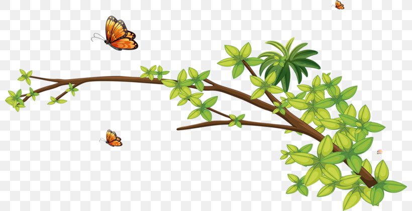 Tree Clip Art, PNG, 800x420px, Tree, Art, Branch, Brush Footed Butterfly, Digital Data Download Free