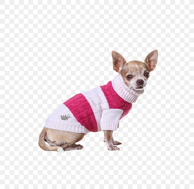 Dog Breed Chihuahua Companion Dog Dog Clothes Snout, PNG, 600x800px, Dog Breed, Breed, Carnivoran, Chihuahua, Clothing Download Free