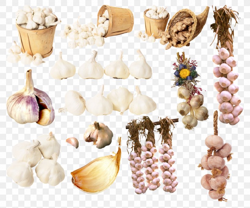 Garlic Condiment Spice, PNG, 1600x1335px, Garlic, Ajoajo, Commodity, Condiment, Flavor Download Free