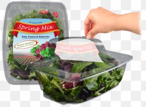 Vegetable - Leaf Vegetable Food Herb PNG
