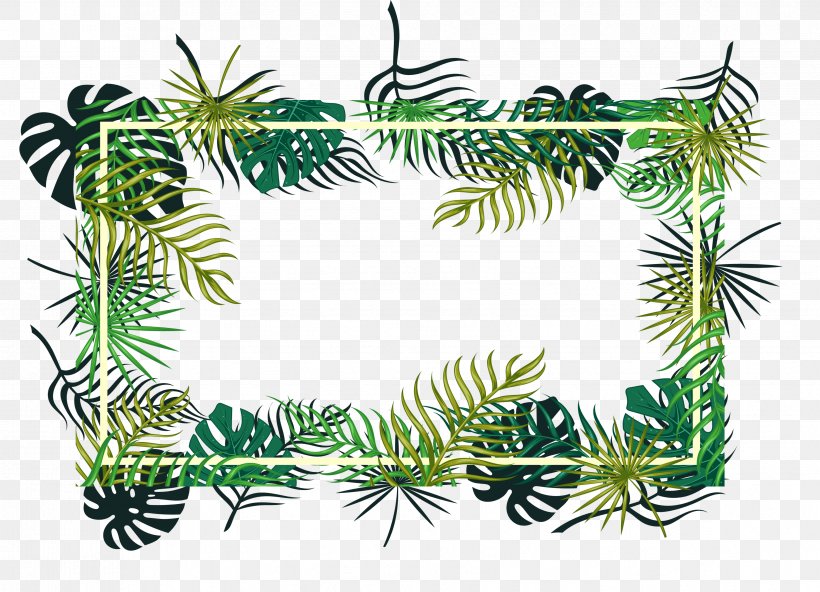 Picture Frames Leaf Decorative Arts Palm Trees Design, PNG, 3406x2462px, Picture Frames, American Larch, Balsam Fir, Botany, Branch Download Free