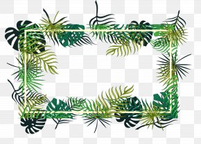Leaf - Picture Frames Leaf Decorative Arts Palm Trees Design PNG