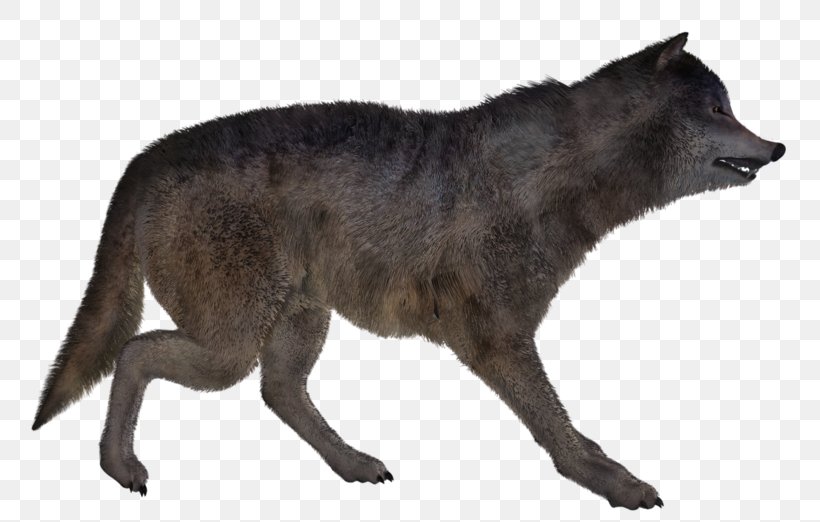 Red Fox Coyote Alaskan Tundra Wolf Red Wolf Jackal, PNG, 800x522px, Red Fox, Alaskan Tundra Wolf, Canis, Canis Lupus Tundrarum, Carnivoran Download Free