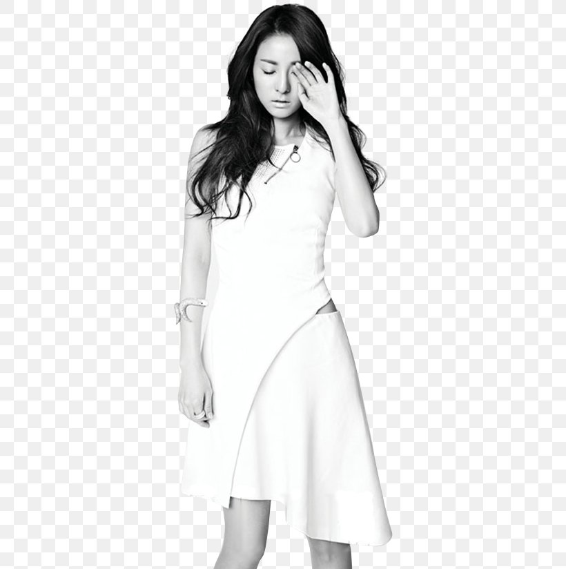 Sandara Park 2NE1 South Korea K-pop Black And White, PNG, 318x824px, Watercolor, Cartoon, Flower, Frame, Heart Download Free