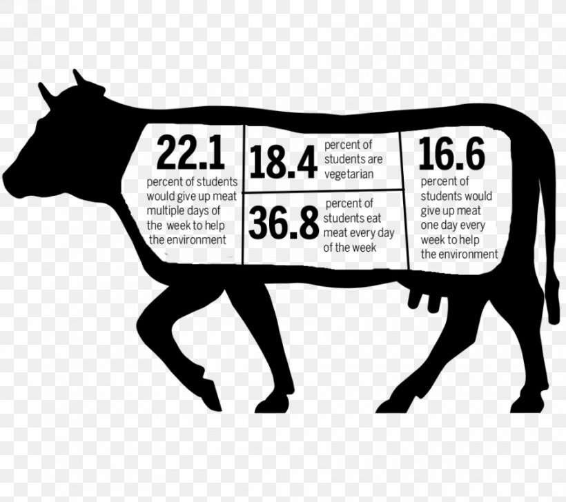 Beef Cattle Jersey Cattle Angus Cattle Holstein Friesian Cattle Dairy Cattle, PNG, 900x800px, Beef Cattle, Agriculture, Angus Cattle, Area, Black And White Download Free