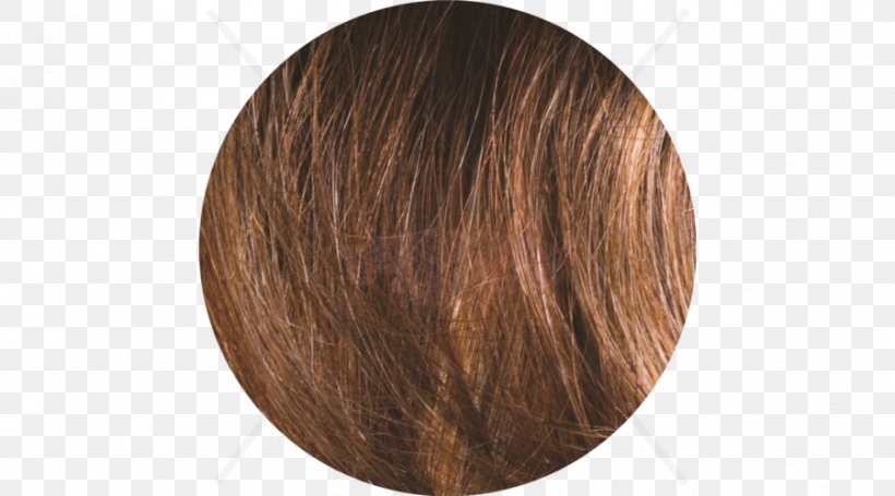 Brown Hair Wig Caramel Color Brown Hair, PNG, 900x500px, Brown, Brown Hair, Caramel Color, Hair, Hair Coloring Download Free